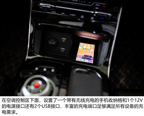 真假躍馬 法拉利家族私生子傳聞與保定教育科技的交織